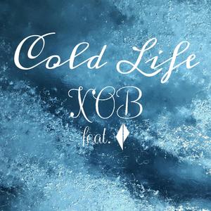 Cold Life(feat. Ekterp) (Explicit)