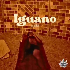 Iguano (Explicit)