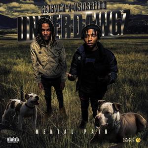 Underdawgz (Mental Pain) (feat. Nsu Sheedo) [Explicit]