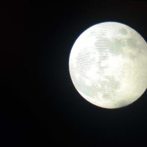 Midnight Jeep Ride (Explicit)