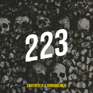 223 (Explicit)