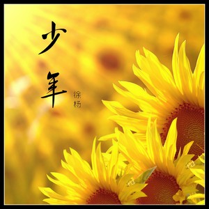 少年