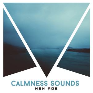 Calmness Sounds New Age: Relaxation Music for Stress Relief, Harmony of Senses, Feel Better with Amazing New Age Music