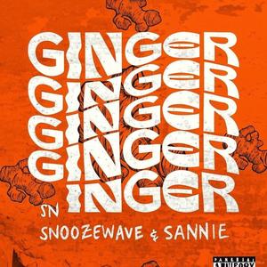 Ginger (feat. Sannie) (Explicit)