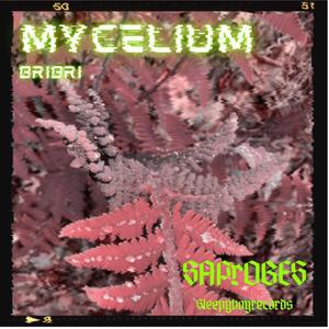 Mycelium
