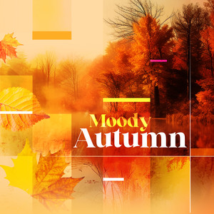 Moody Autumn - Orchestral Suite No. 2 in B Minor, BWV 1067: IV. Bourree