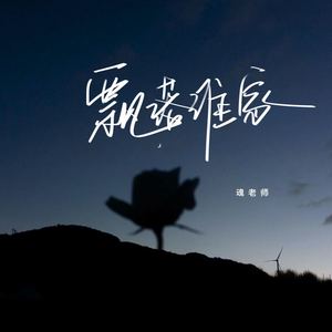 飘落谁家 (伴奏)