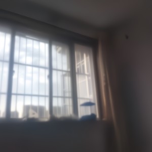 桃花诺 (Demo)