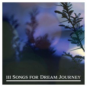 111 Songs for Dream Journey: Fall Asleep with Nature, Music for Sleep & Yoga and Meditation, Blissful Rest, Nature's Sounds, Positive Power, Harmony Balance, Tranquil Oasis