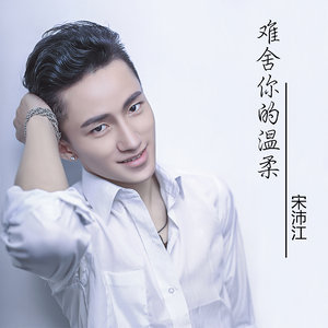 难舍你的温柔封面