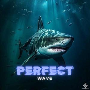 Perfect Wave