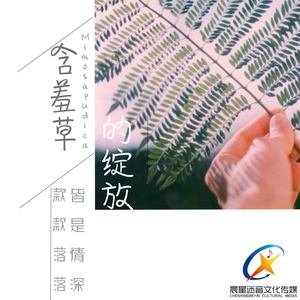 含羞草的绽放 (伤感1)