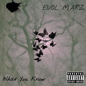 WHAT YOU KNOW ? (Explicit)