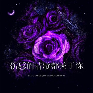 伤感的情歌都关于你 (伴奏)