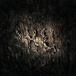 Timo Rautiainen & Trio Niskalaukaus - Juoksevan veden aika