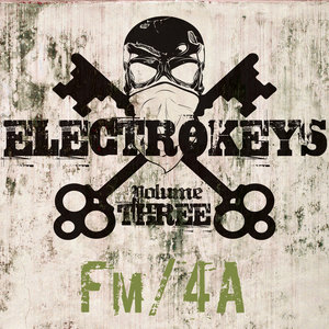 Electro Keys Fm/4a Vol 3