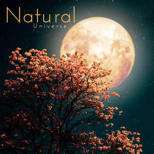 Natural Universe - Music in the Rhythm of Nature