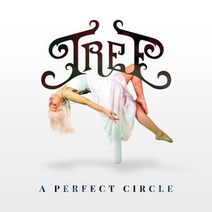 A Perfect Circle