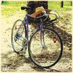 South Carolina Sun (feat. Alex Snyder & Sarah Hubbard)