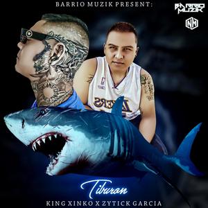 Tiburon Remix (feat. Zityck Garcia) [Explicit]