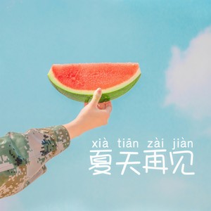 夏天再见 伴奏