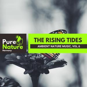 The Rising Tides - Ambient Nature Music, Vol.6