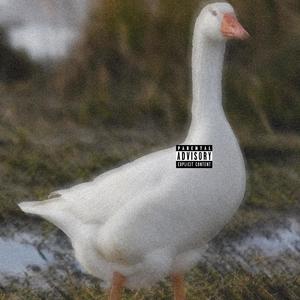 Goose guy (Explicit)