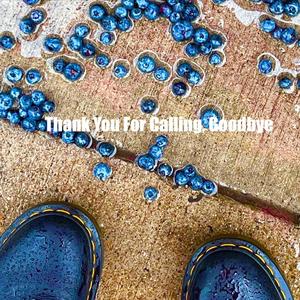 Thank You For Calling, Goodbye (feat. ttbbuuttss)