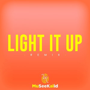 Light It Up (Remix)