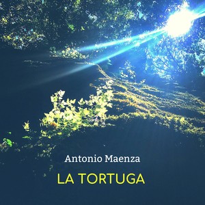 La tortuga