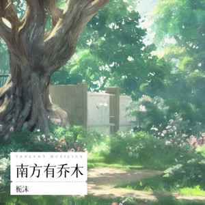 南方有乔木