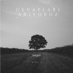 Cevapları Arıyoruz