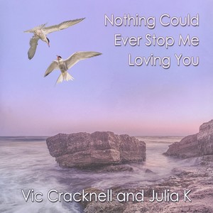 Nothing Could Ever Stop Me Loving You