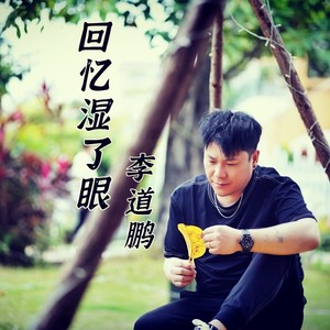 回忆湿了眼伴奏 (伴奏)