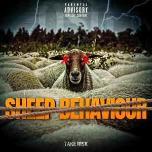 Sheep Behaviour (Explicit)