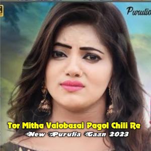 Tor Mitha Valobasai Pagol Chili Re (feat. Samir Karmakar)