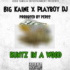 Runtz In A Wood (feat. Playb0y DJ) [Explicit]