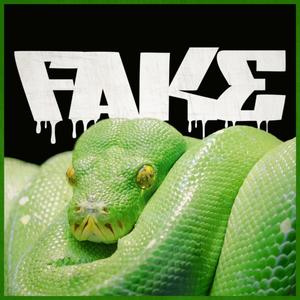 FAKE (Explicit)