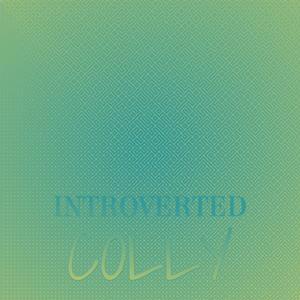 Introverted Colly