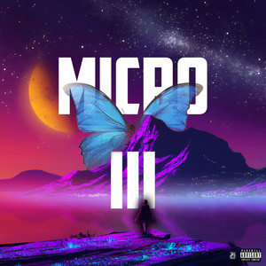 Micro III (Explicit)