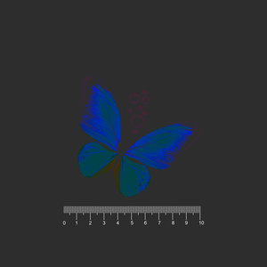 Эй, бабочка (Explicit)