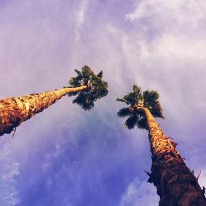 你们 (prod.by T.A.)