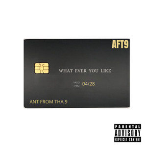 Whatever You Like (Explicit)