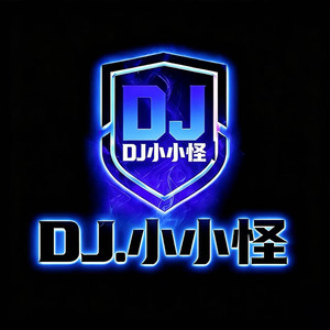 琵琶行-DJ小小怪Remix