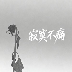 寂寞不痛 (摇滚版)