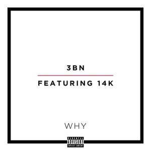 Why (feat. 14k) [Explicit]