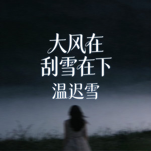 大风在刮雪在下
