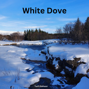 White Dove