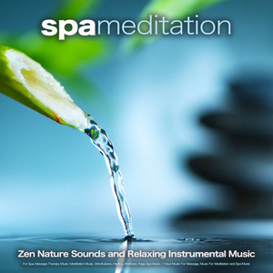 Spa Meditation: Zen Nature Sounds and Relaxing Instrumental Music For Spa, Massage Therapy Music, Meditation Music, Mindfulness, Healing, Wellness, Yoga, Spa Music, 1 Hour Music For Massage, Music For Meditation and Spa Music