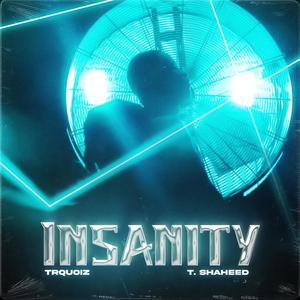Insanity (feat. T. Shaheed) (Explicit)